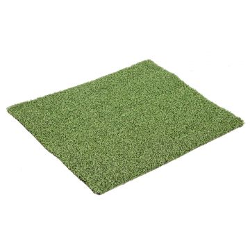 Putting Green - Grass Sample - 200 x 300