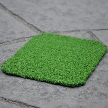 Play Grass - Grass Sample - 200 x 300