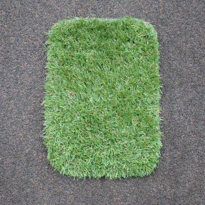 Kilmore - Grass Sample - 200 x 300