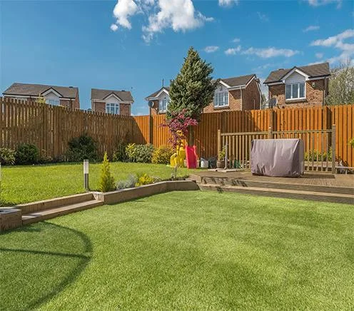 Artificial Grass