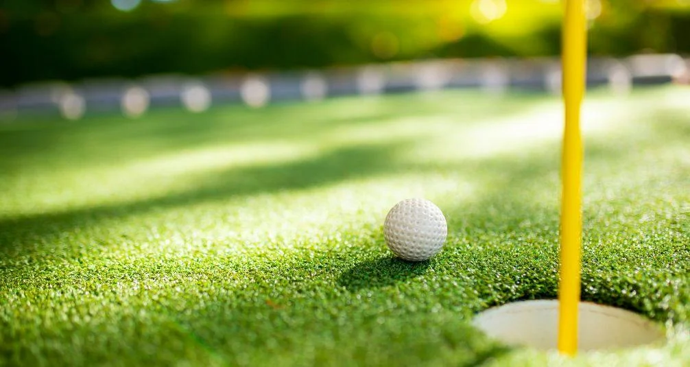 artificial grass for putting greens 