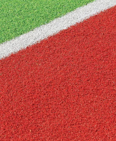 Coloured grasses red and green with white stripe
