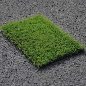 Shannon Grass Sample