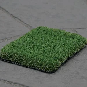 Lansdowne Grass Sample