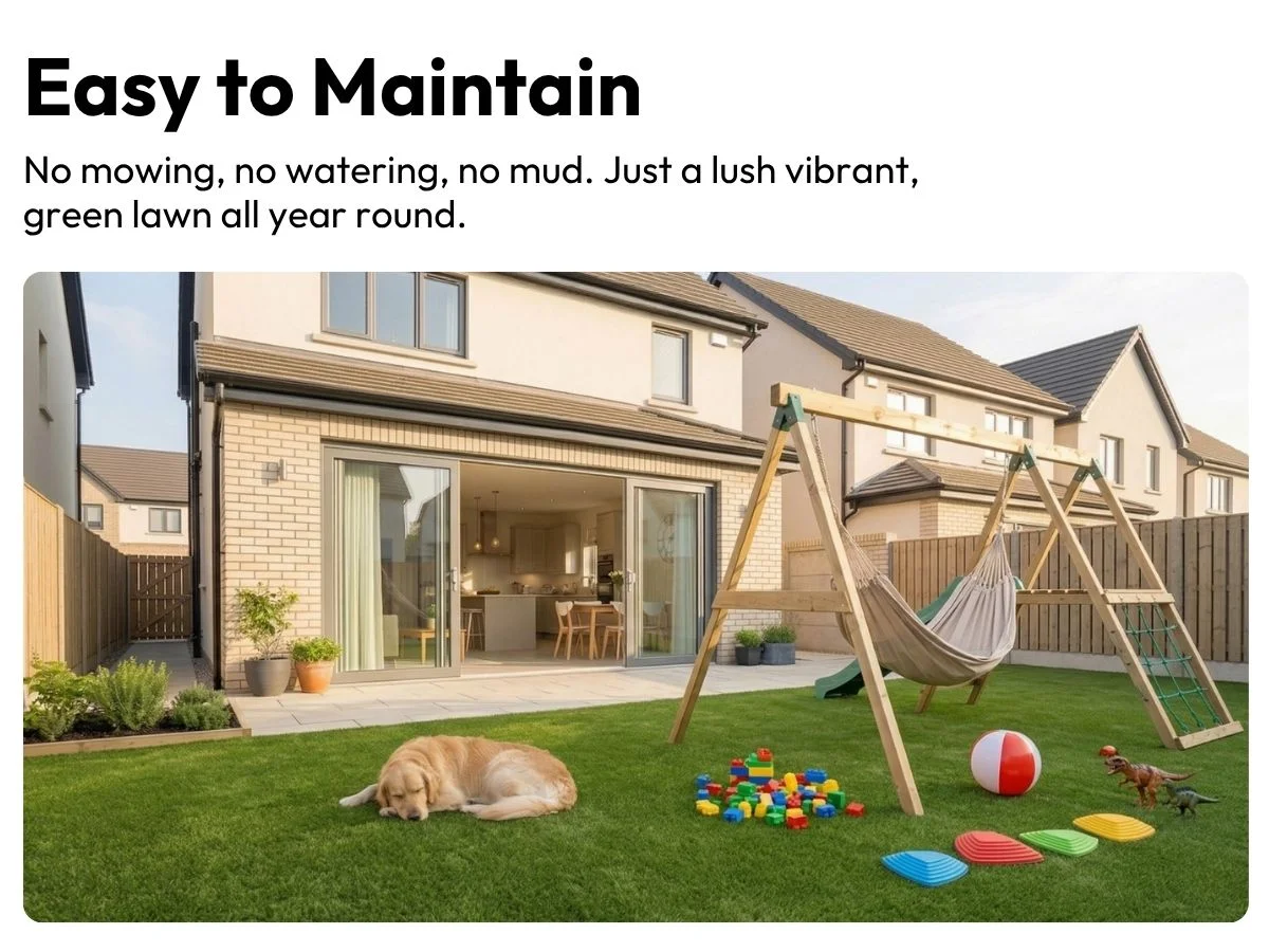 Low Maintenance Garden Solution